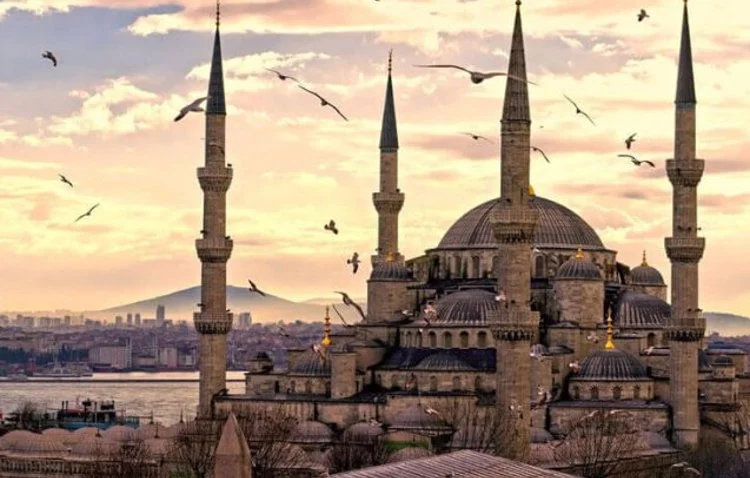 Blue Mosque at sunset with seagulls flying over Istanbul
