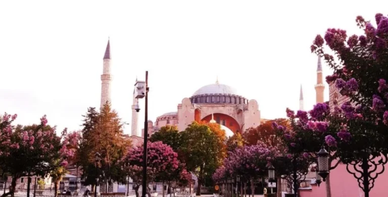 Hagia Sophia surrounded by spring blossoms in Istanbul