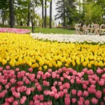 Why Spring 2026 Is the Smartest Time to Visit Turkey