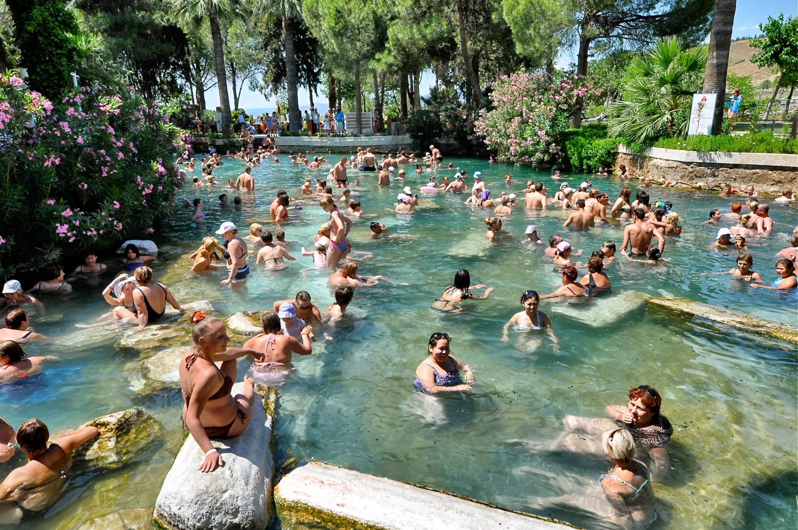 Wide view of Cleopatra's Pool area with Hierapolis ruins and trees in the background