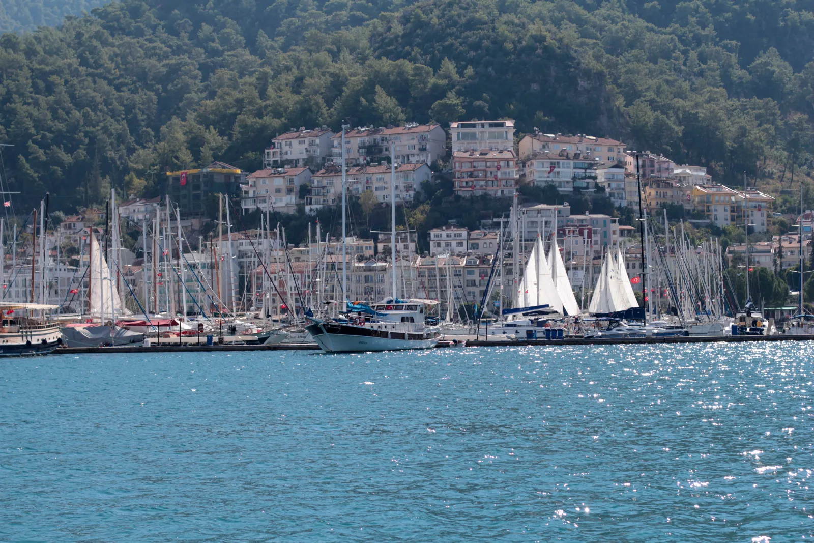 Fethiye bay and harbor with sailing boats and pine-covered hillside in the background