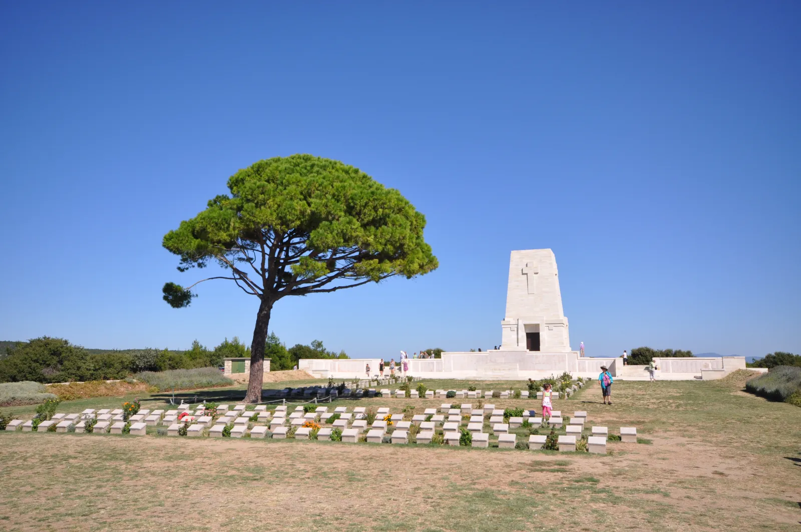 Rows of white headstones at Lone Pine Cemetery on the Gallipoli Peninsula with pine trees in the background