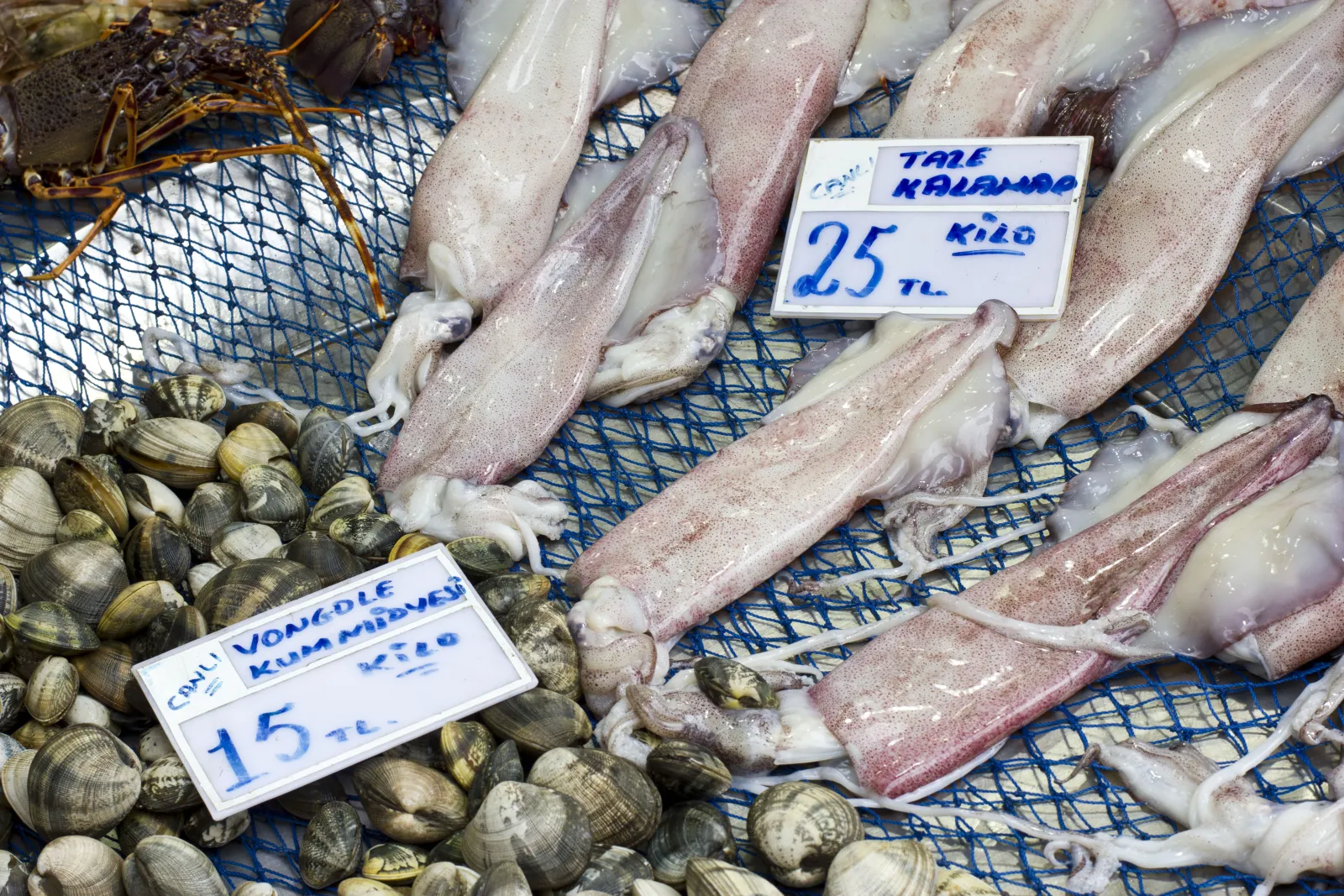 Fresh fish and seafood displays at the Kadikoy fish market in Istanbul