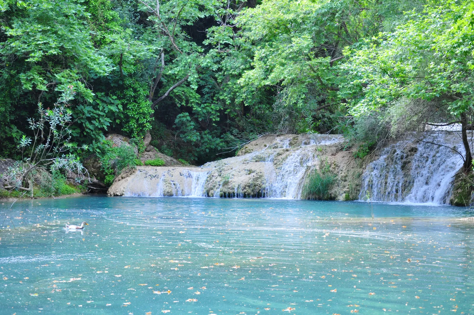 A natural pool at Kursunlu Waterfall in Antalya with calm water reflecting the forest canopy