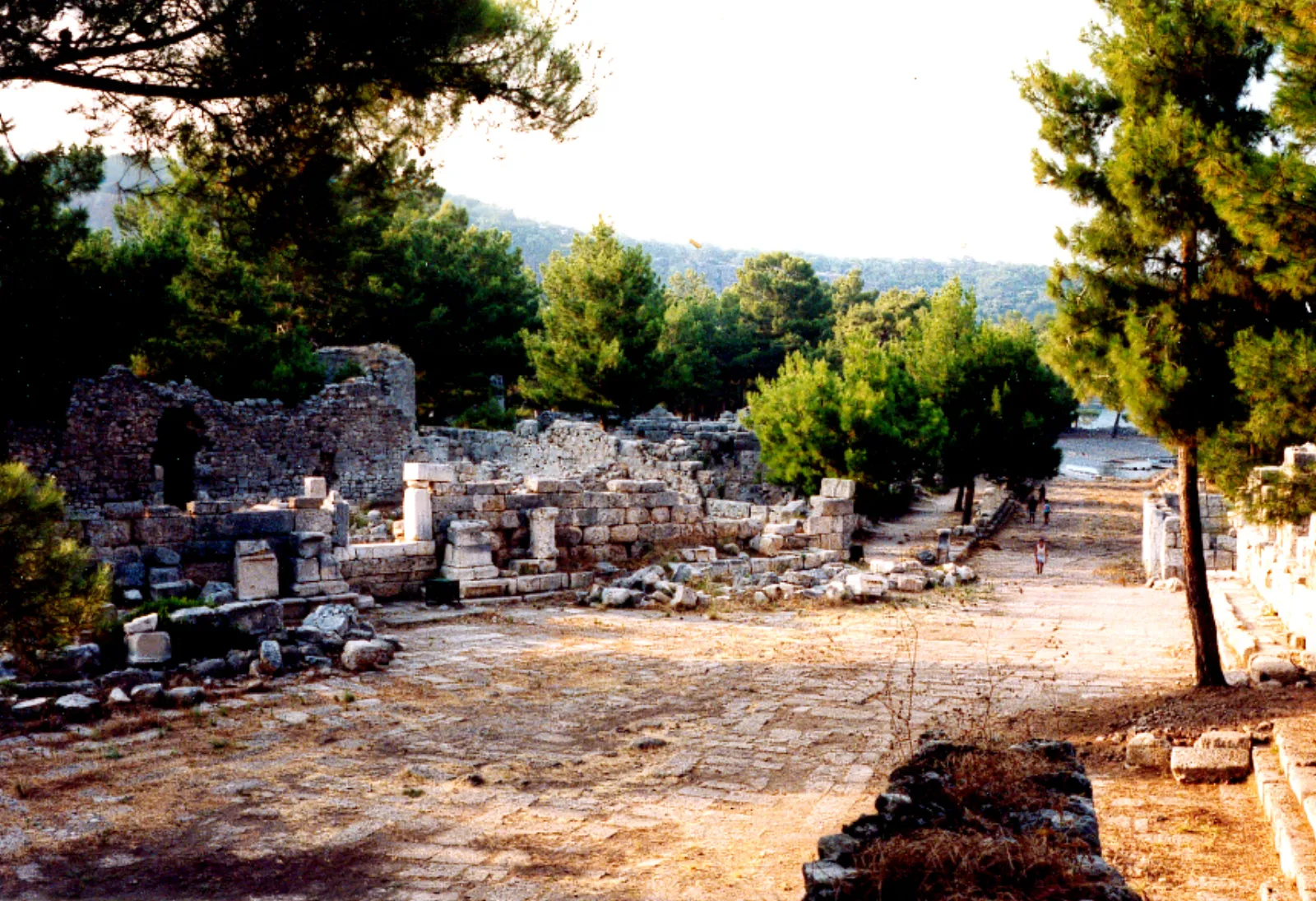 Remains of the Roman aqueduct at Phaselis with stone arches among pine trees