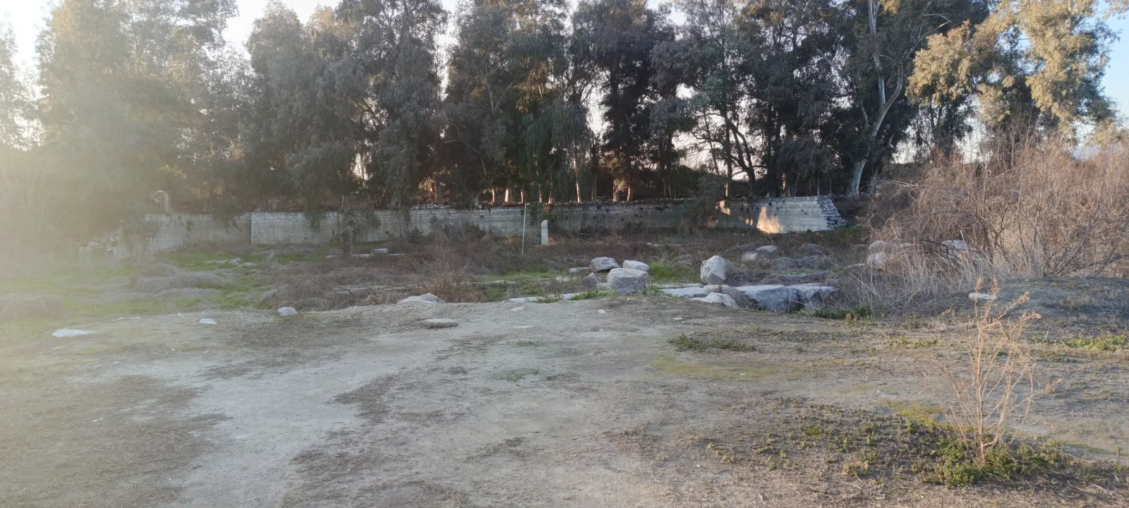 Panoramic view of the Temple of Artemis archaeological site at Selcuk Ephesus Turkey