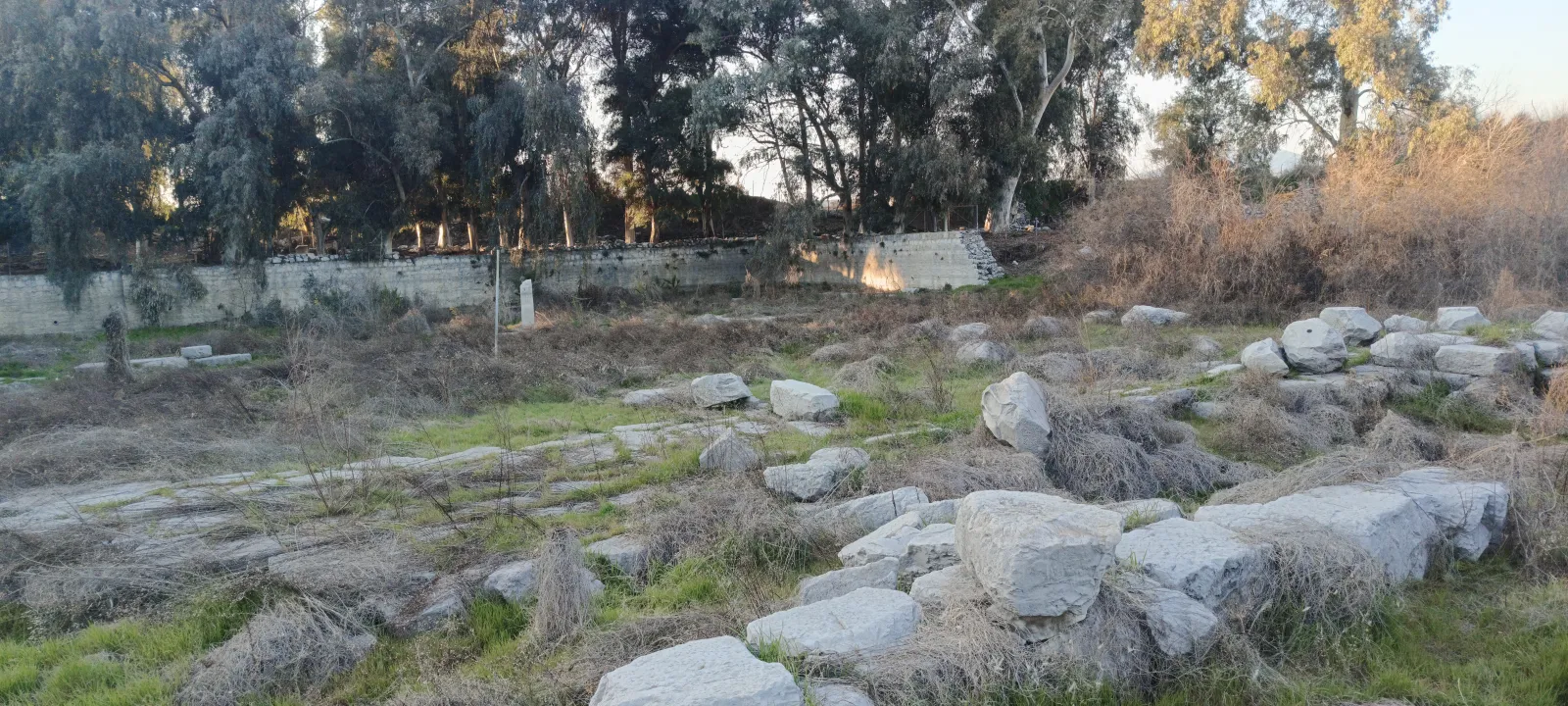The Temple of Artemis archaeological site with the remaining foundations and reconstructed column at Ephesus